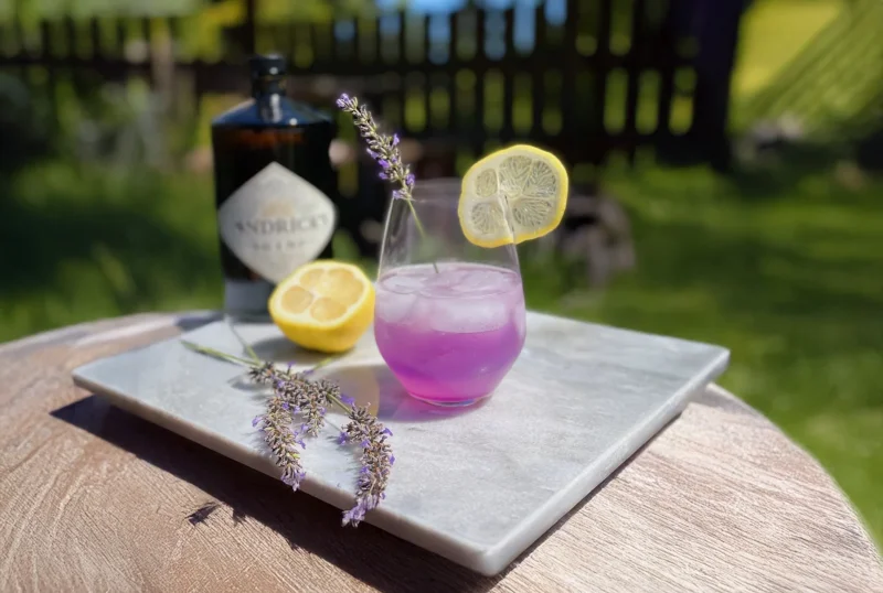 Butterfly Pea Gin Tonic