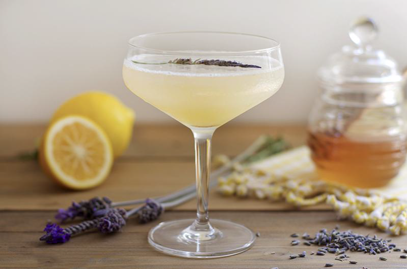 Lavender Bee's Knees