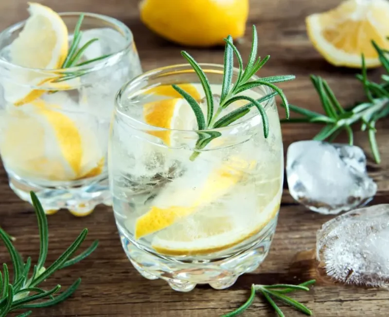 Rosemary Gin Fizz