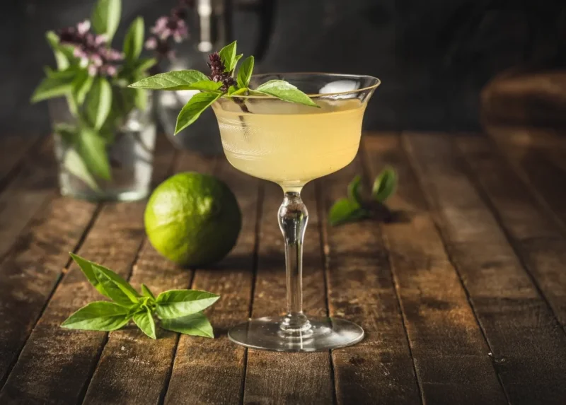 Shiso Gimlet