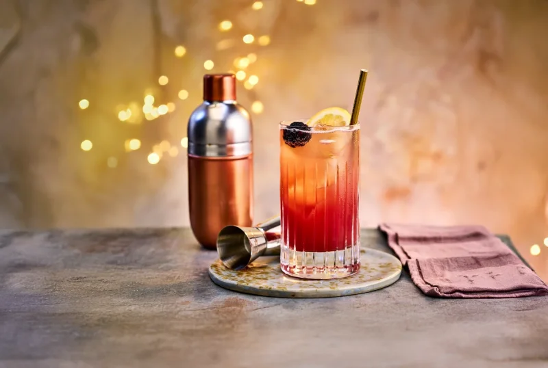 Sloe Gin Fizz